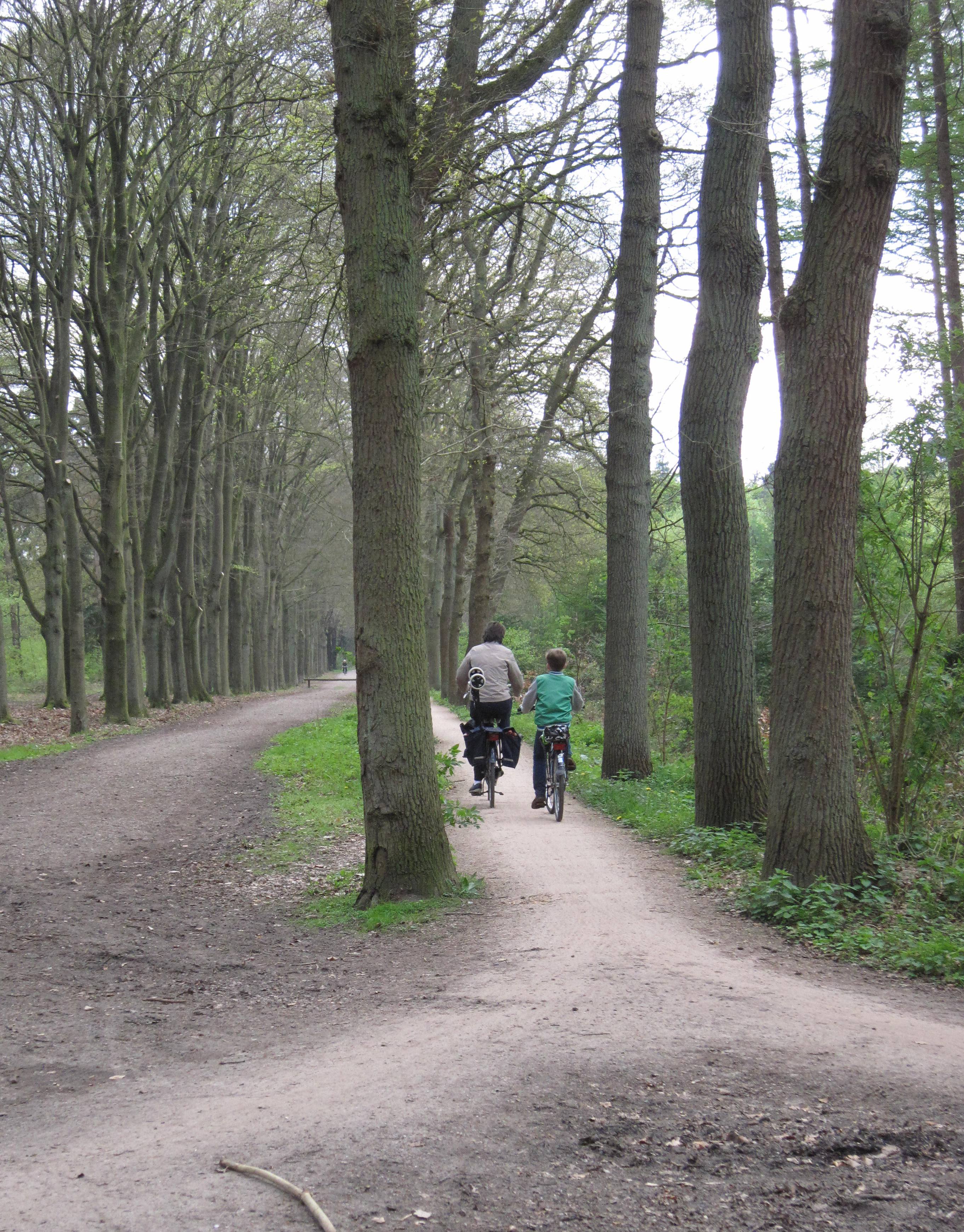 140621 stofwisseltour fietsers bos