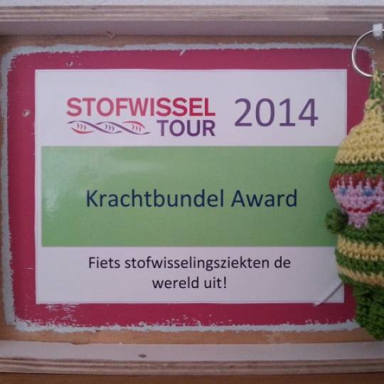 Krachtbundel Award 2014